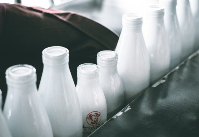 Is Dairy Bad For You